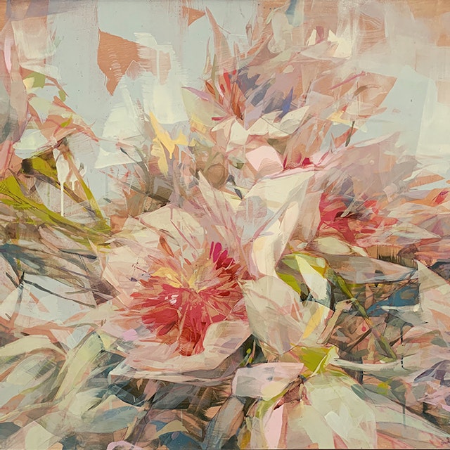 Blush Protea