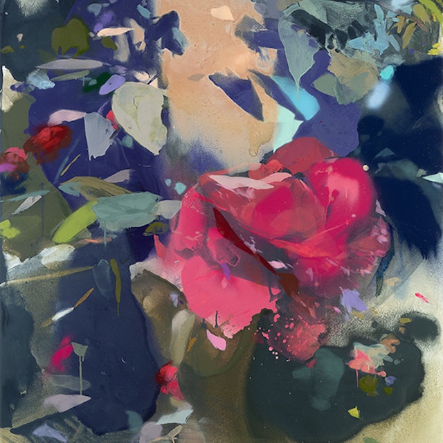 Camellia Pre-Flight