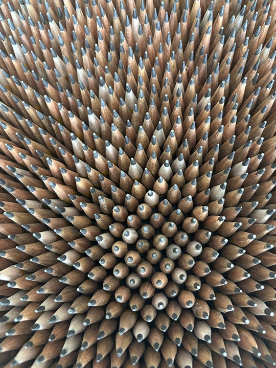 Document #5 (detail)