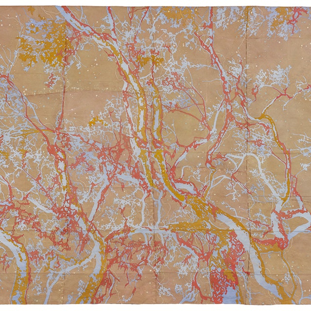 a forest flies apart