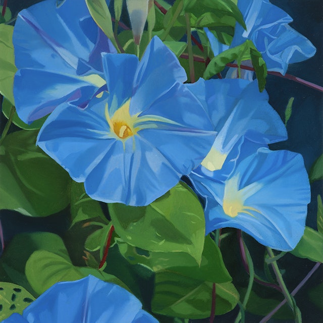 Morning Glories III