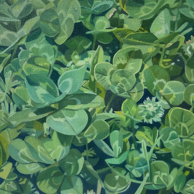 Clover XXI