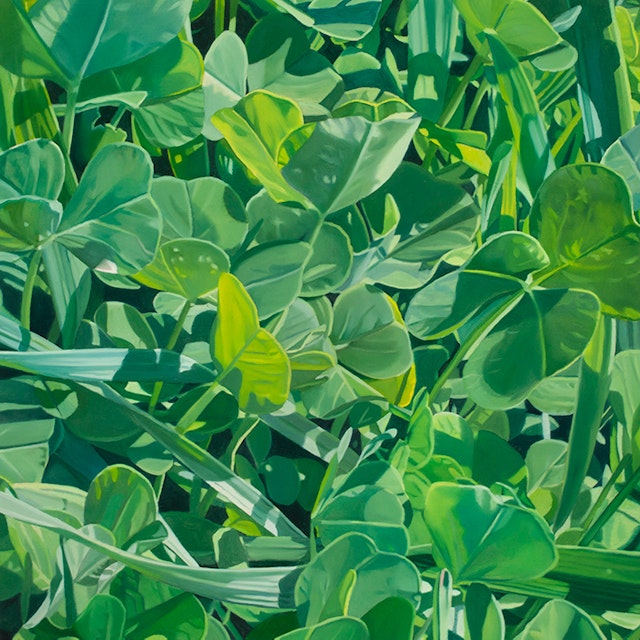 Be clover xxvii