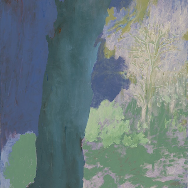 The old oak and the dead sycamore