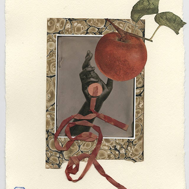II. nourishing, Collaboration with Susan Bryant