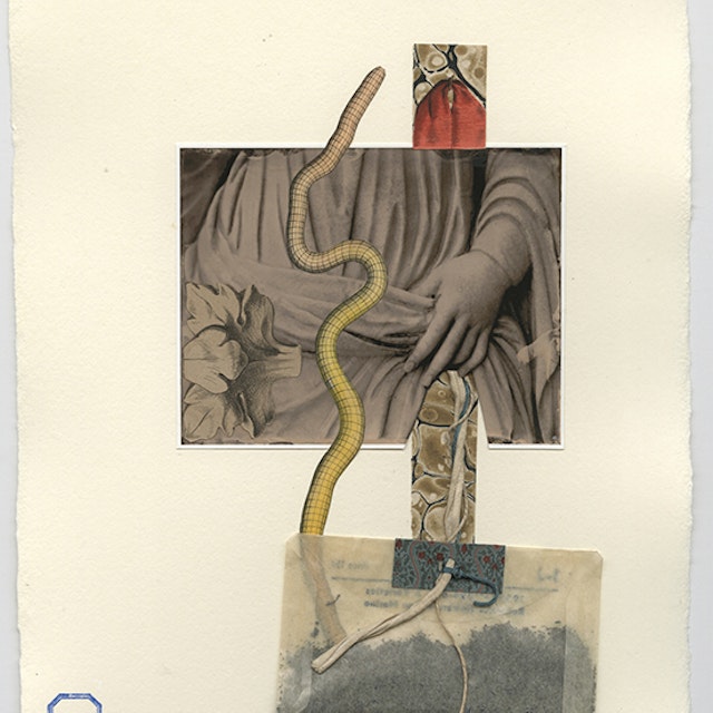 IV. discharging waste, collaboration with Susan Bryant