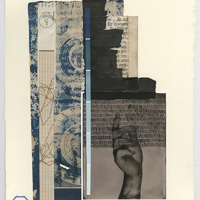 VIII. aging, Collaboration with Susan Bryant