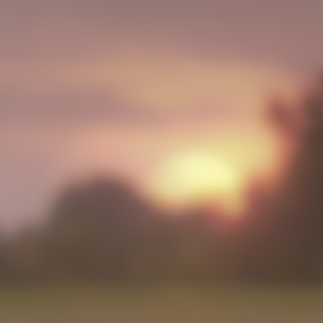 Southern Sunset