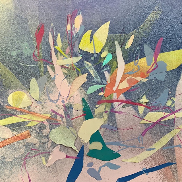 Cleome Study