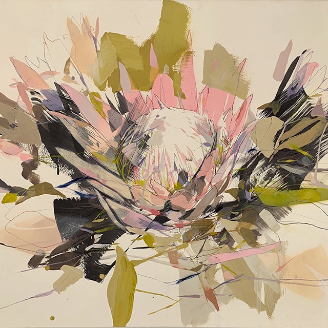 King Protea