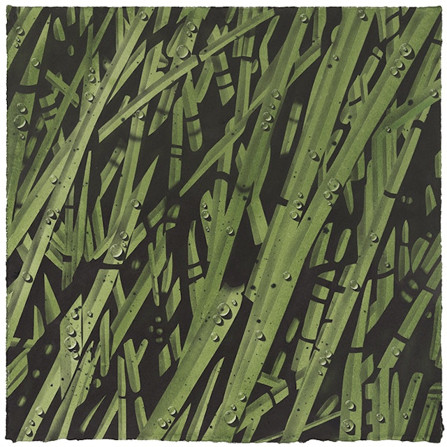 Spring Grasses