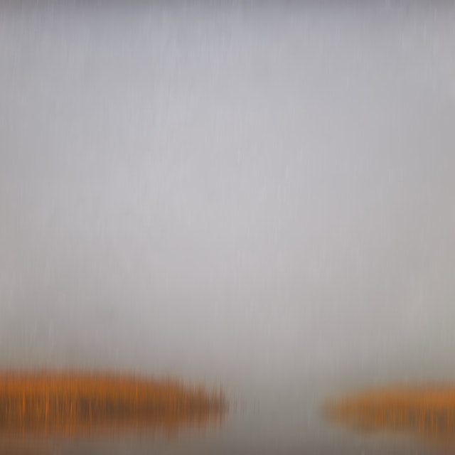 Marsh 11