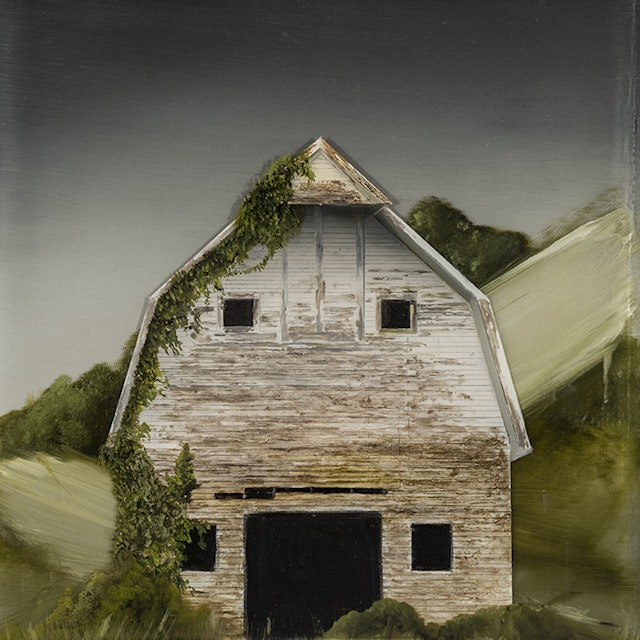 Barn Ivy