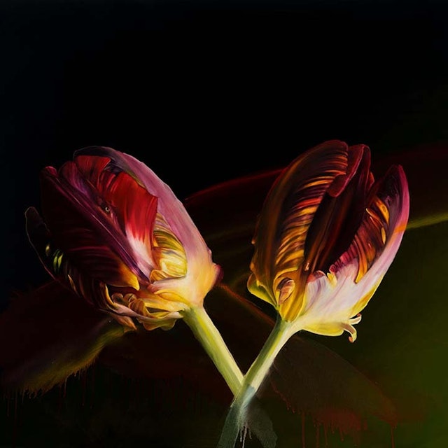 Two Tulips