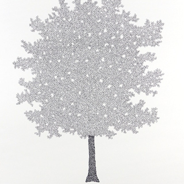 D - Dogwood