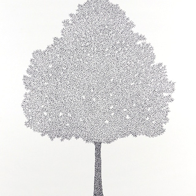 I - Ironwood