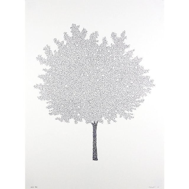 Js judas tree 10