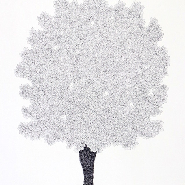 Scarlet Hawthorn