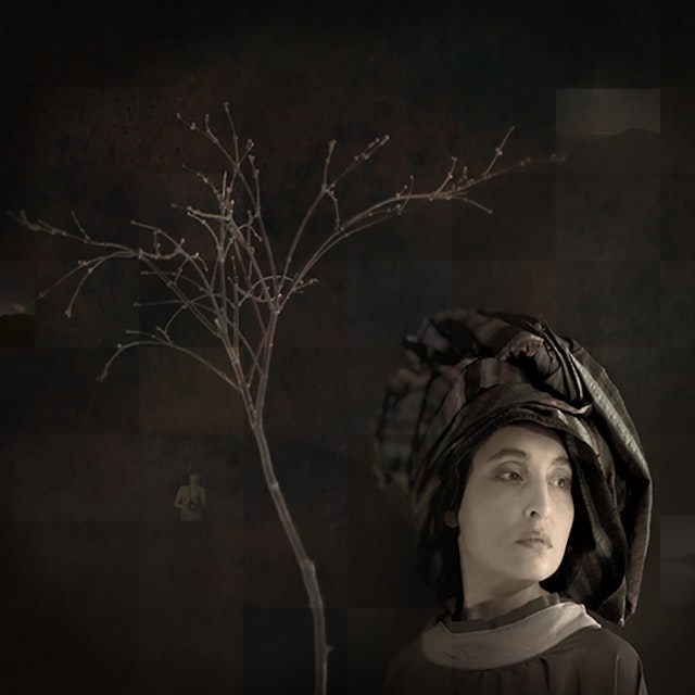 Girl with Japanese Maple