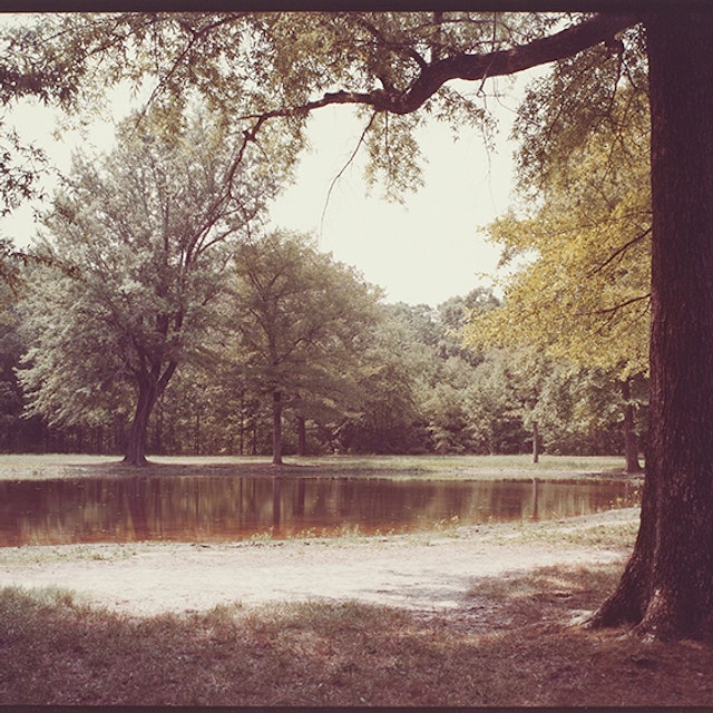 Untitled (Lake)
